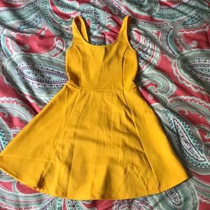 NWOT H&M Skater Dress